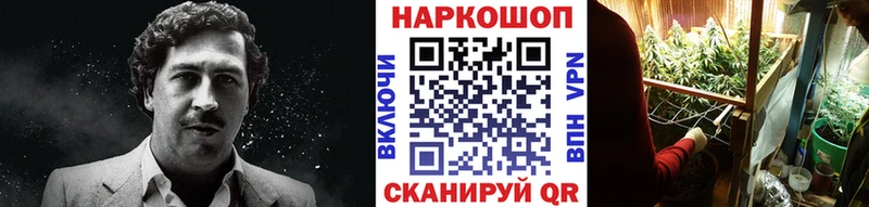 Какие есть наркотики Воронеж Канабис  СК  МЕТАДОН  ГАШИШ  МЕФ  КОКАИН  Вейп ТГК  Галлюциногенные грибы 