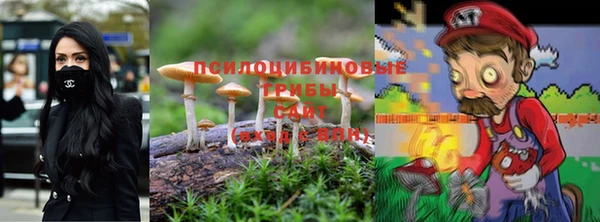 ECSTASY Новодвинск