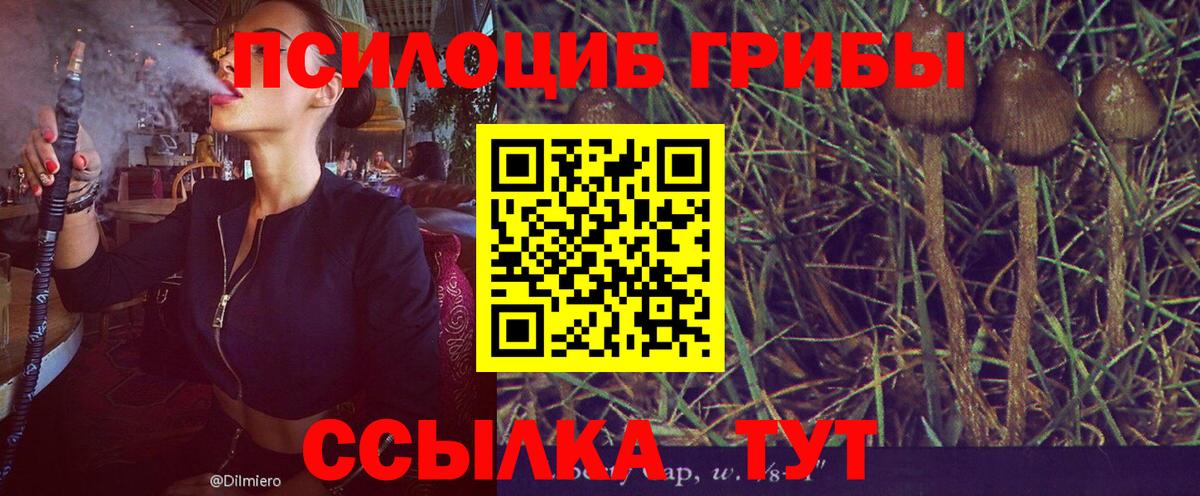 Марихуана  ГАШИШ  Меф   АМФ   A PVP СК   Воронеж  Бошки Шишки  Меф МЯУ МЯУ   Кетамин 