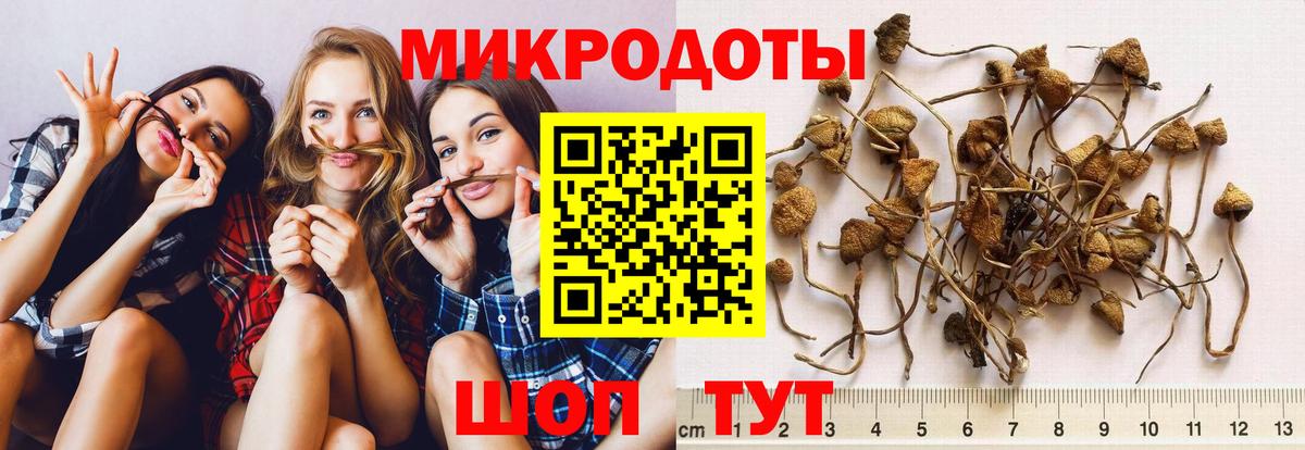 Галлюциногенные грибы ЛСД  Вход с VPN  Воронеж  Псилоцибиновые грибы Cubensis 