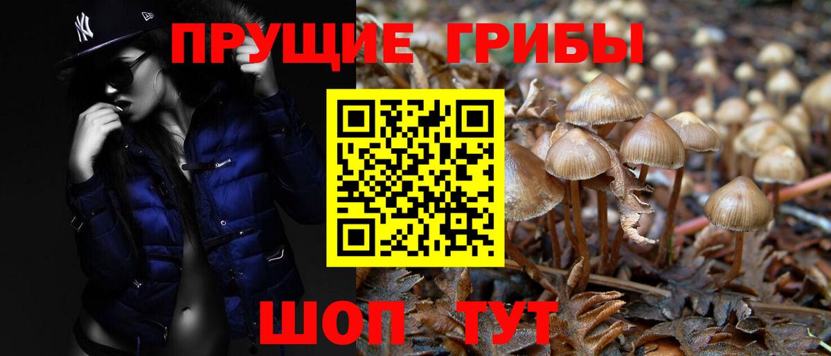 Галлюциногенные грибы MAGIC MUSHROOMS Воронеж