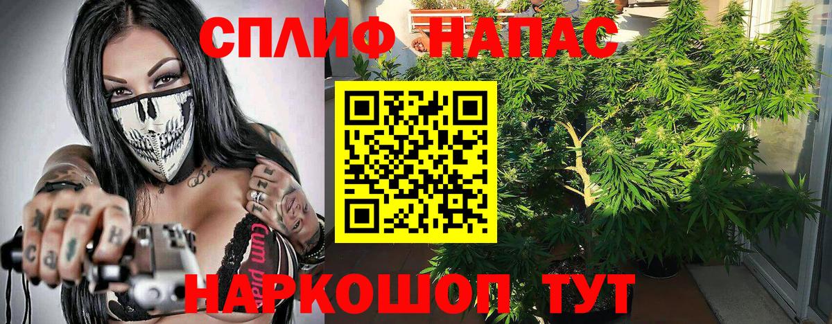 Конопля сатива Воронеж