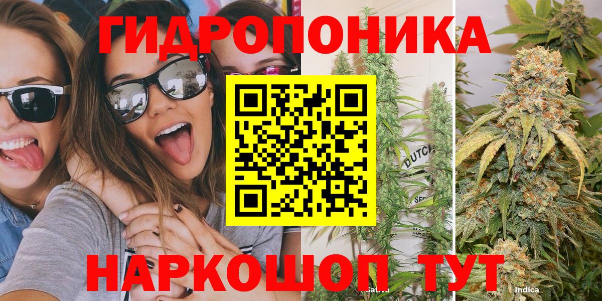 Бошки марихуана SATIVA & INDICA  Канабис гибрид  Воронеж  Вход с VPN 